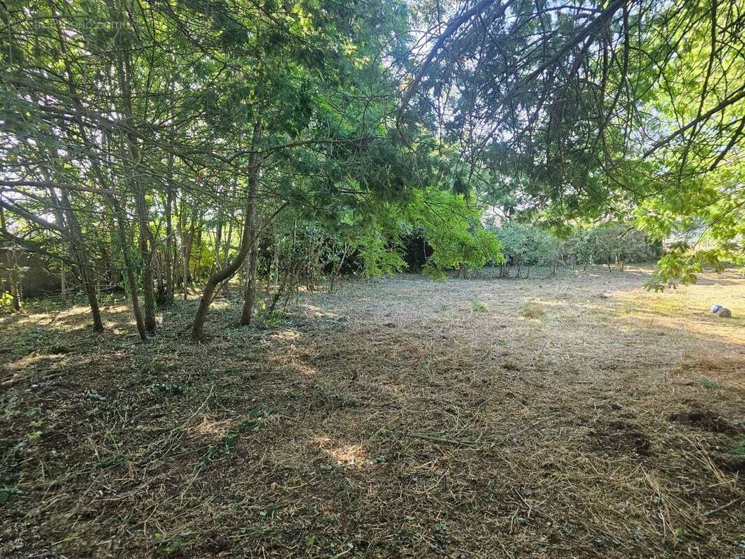 Terrain 605 m² à Challans  - photo 4