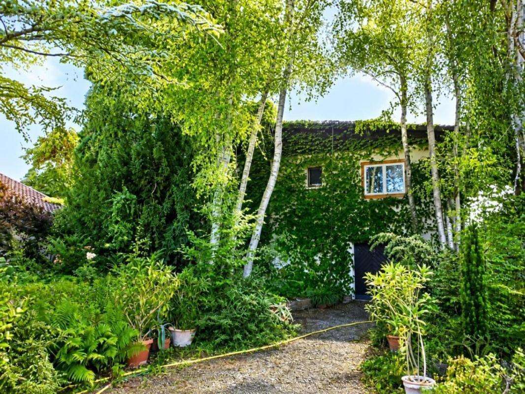 Maison à ANDOLSHEIM