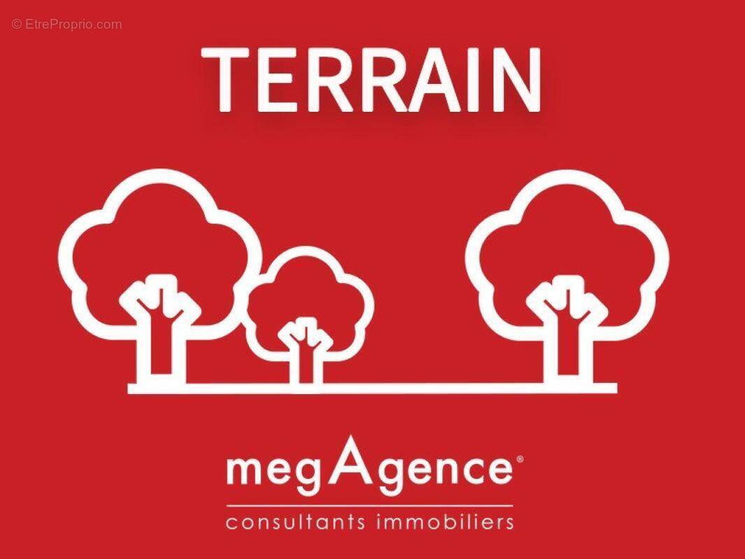 Terrain à ALLUYES