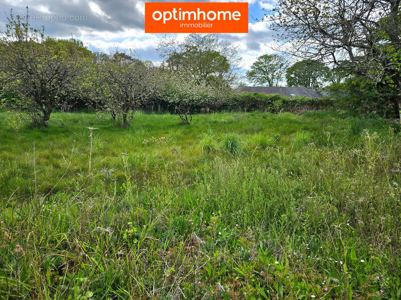 Terrain à REDON
