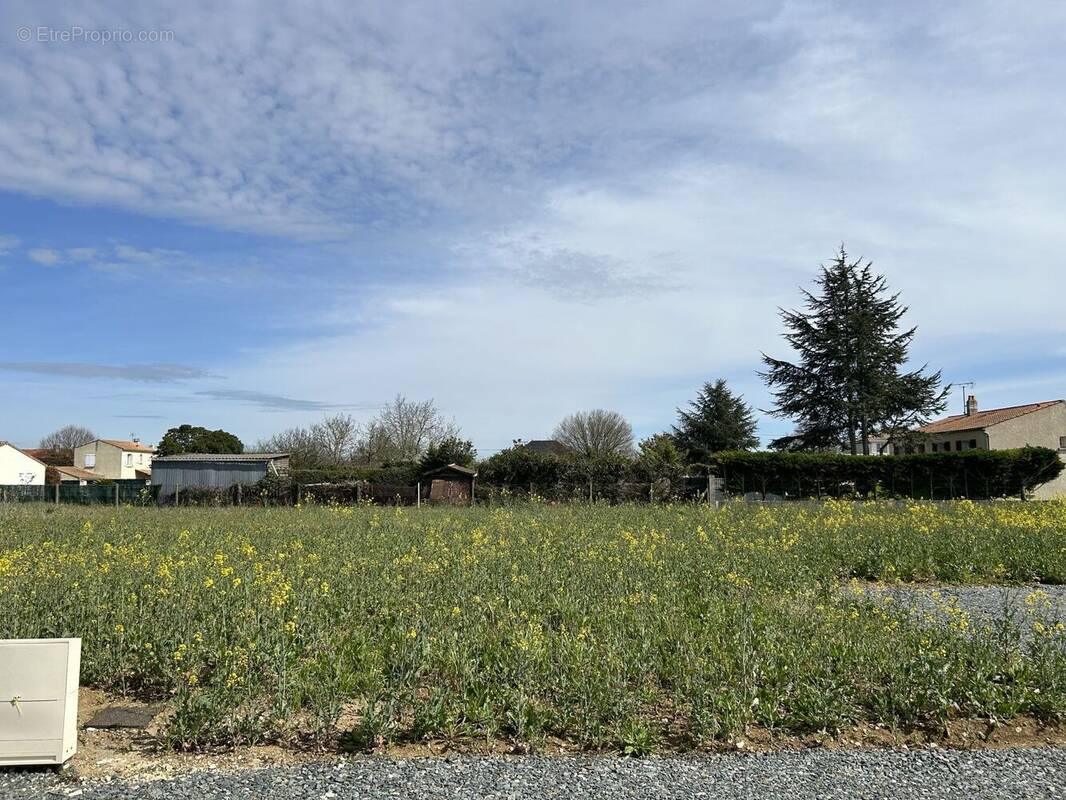 Terrain à FERRIERES