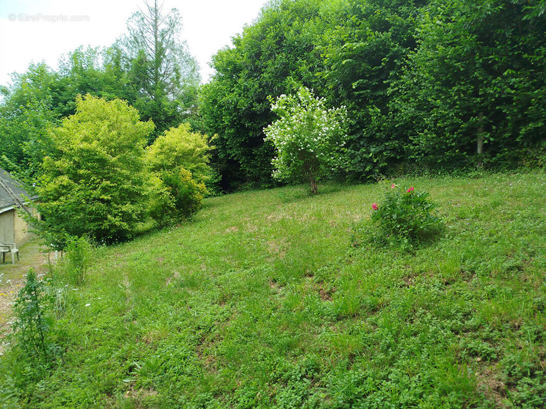 Maison à LE PLESSIS-DORIN