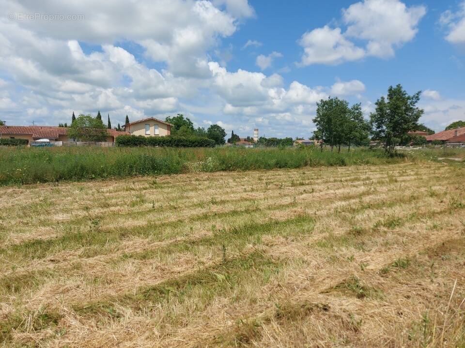 Terrain à BERAT