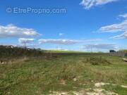 Terrain à VILLECHETIF