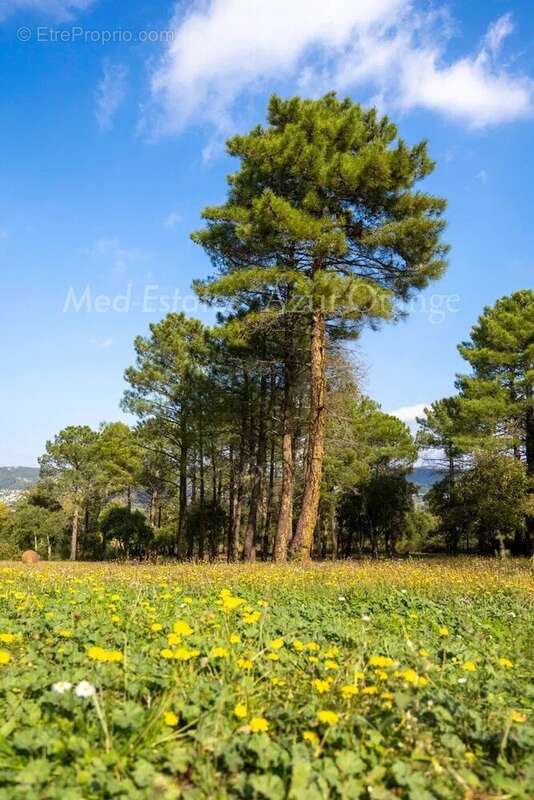 Maison à PLAN-DE-LA-TOUR