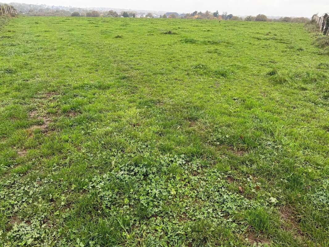 Photo 3 - Terrain à CANDE