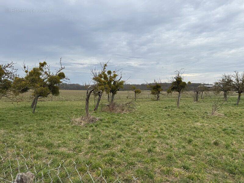 Photo 1 - Terrain à HOUDAN