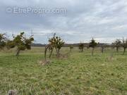 Photo 1 - Terrain à HOUDAN