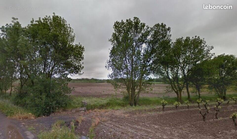 Terrain à LEZIGNAN-LA-CEBE