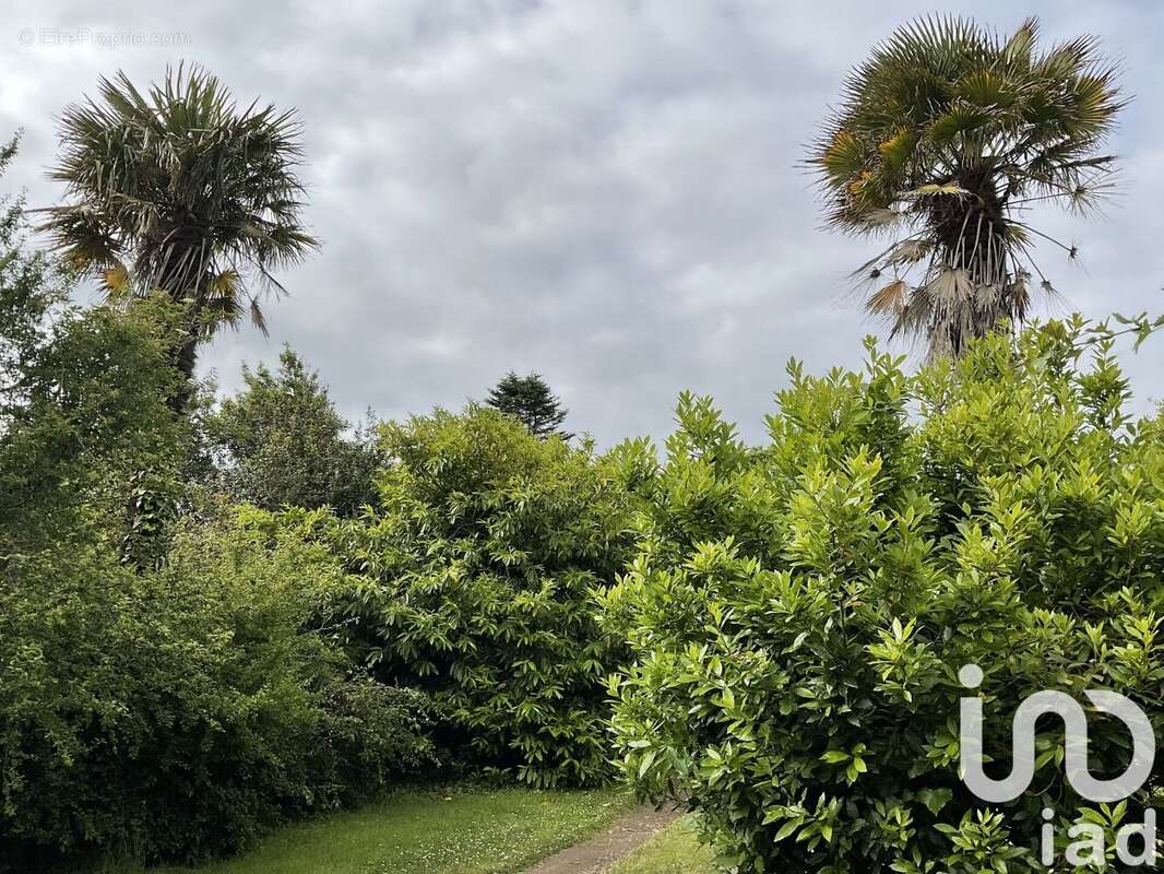 Photo 5 - Terrain à PERROS-GUIREC