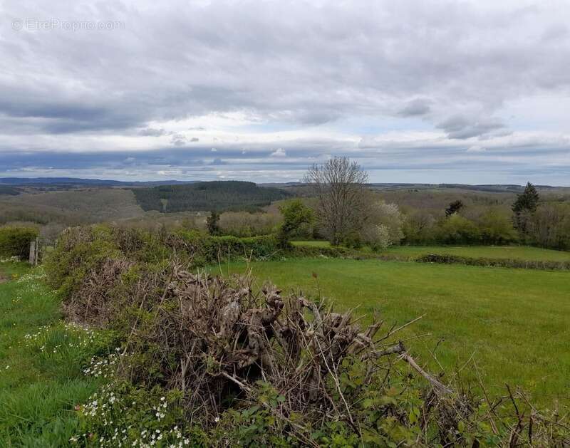 Maison à vendre 4 pièces SAVILLY (21) - DEPENDANCES - TERRAIN 935 m 2 - photo 13