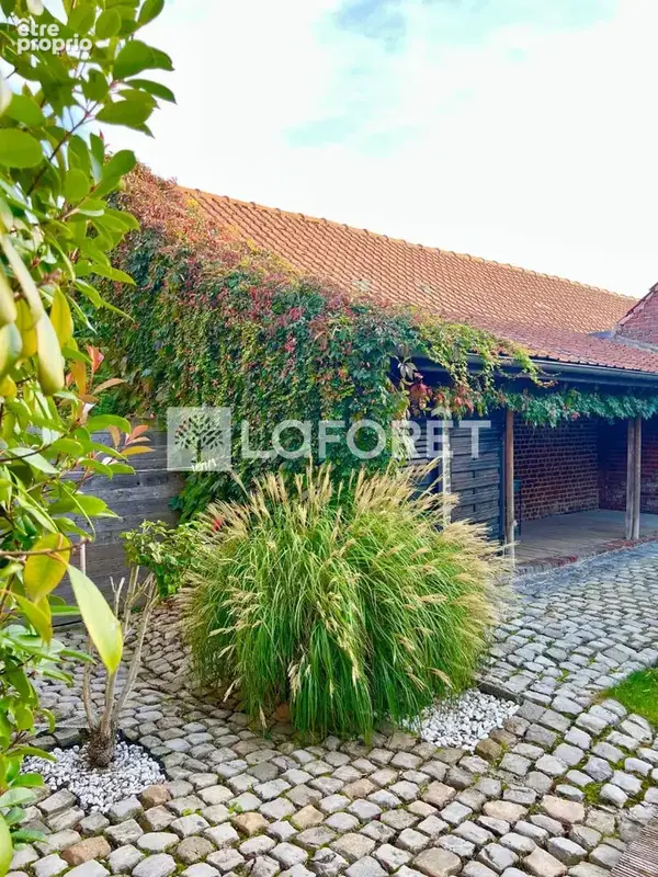 Ferme  au carré réhabilitée Templeuve-en-Pévèle 5 chambres, 222 m2 - photo 17