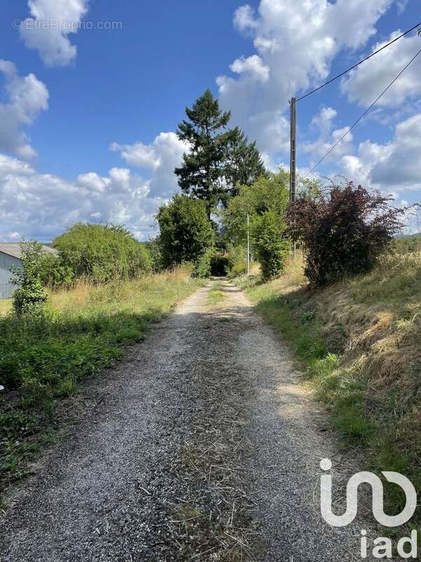 Photo 6 - Maison à NEUVIC-ENTIER