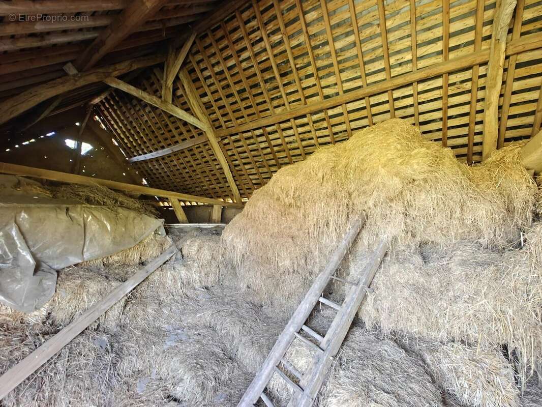 Maison Normande, corps de ferme - photo 18