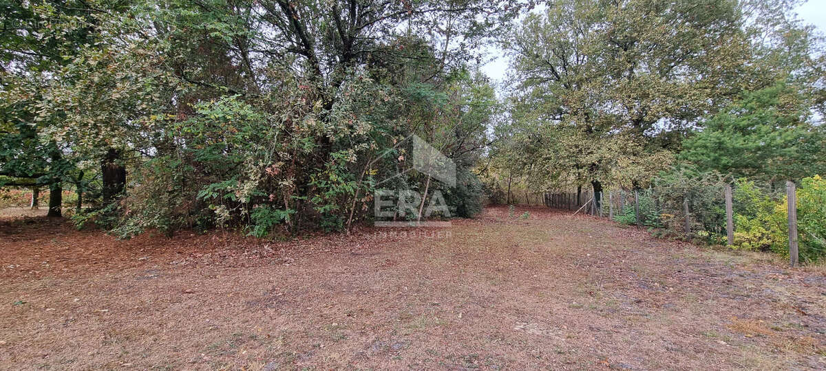 Terrain à LE TAILLAN-MEDOC