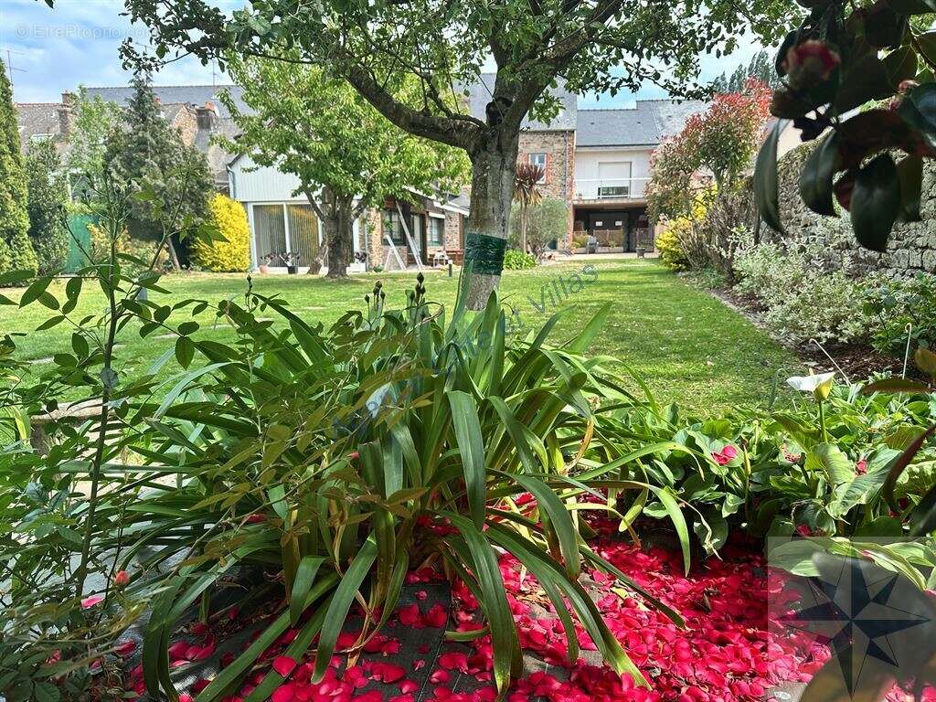 Centre-ville - photo 20
