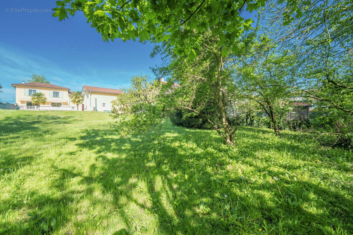 Photo 4 - Maison à CHAPONNAY