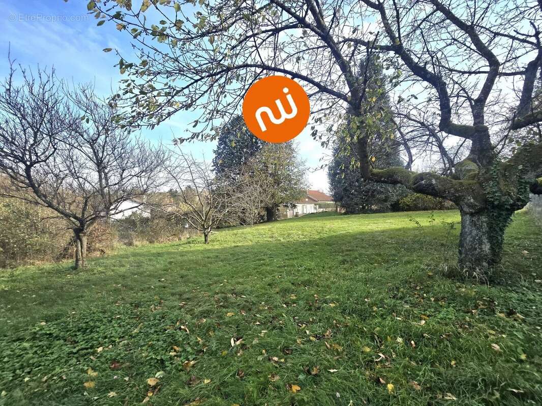 Terrain à TASSIN-LA-DEMI-LUNE