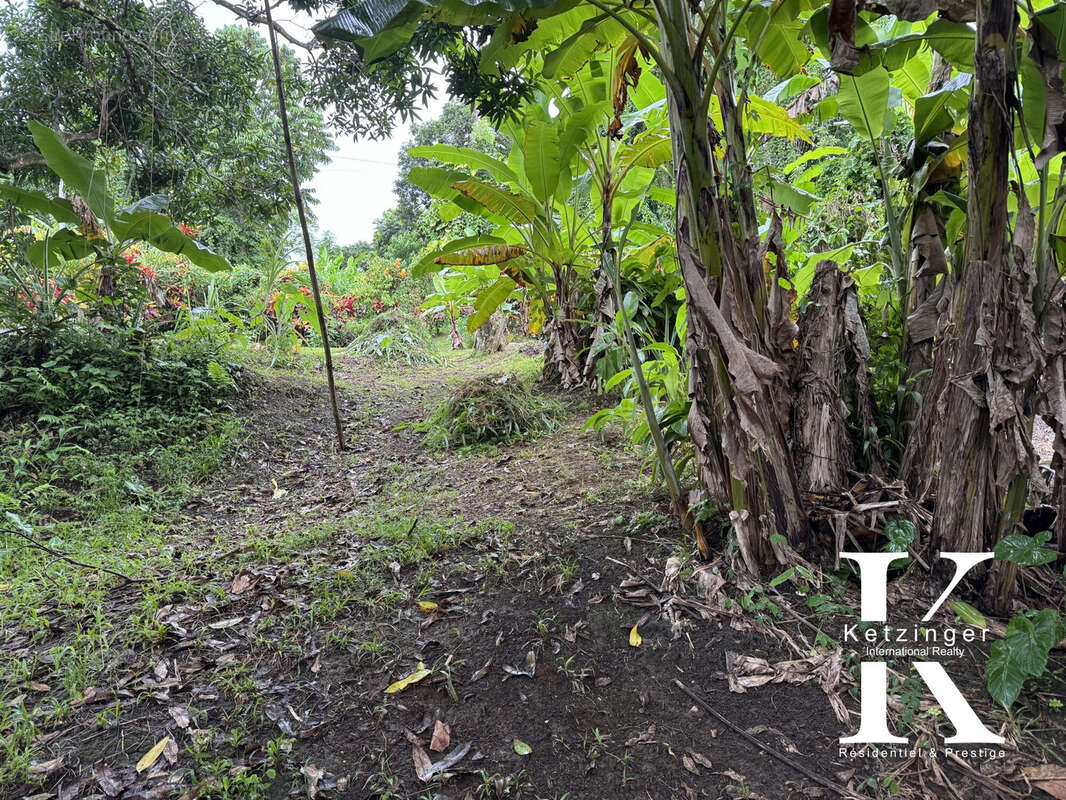 Terrain à LA TRINITE