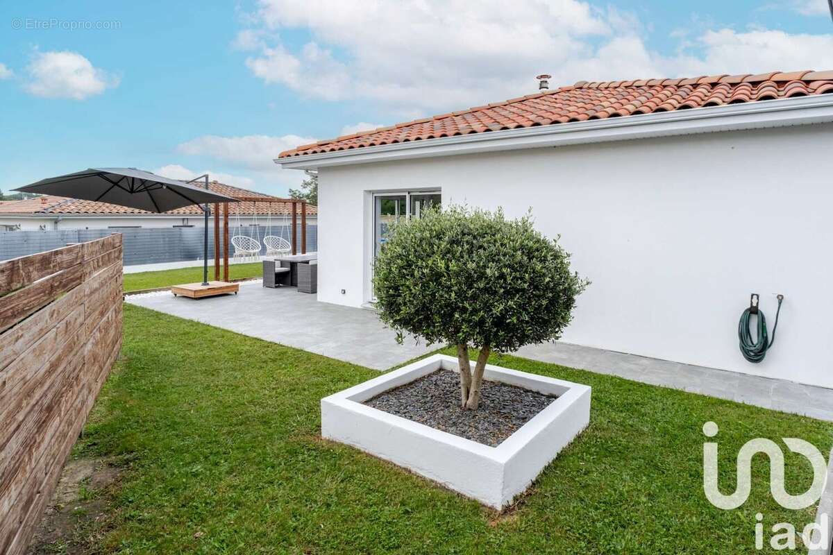 Photo 8 - Maison à SAINT-ANDRE-DE-SEIGNANX