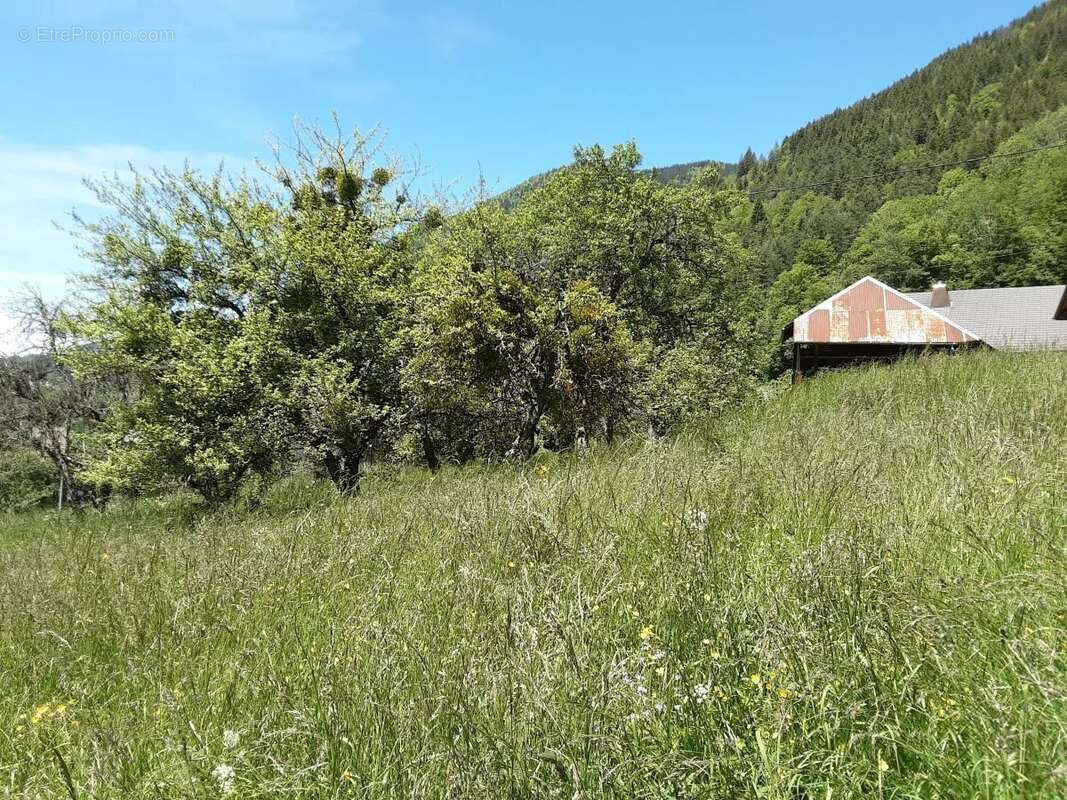 Terrain à VACHERESSE