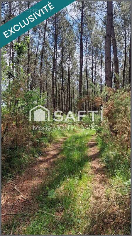 Photo 3 - Terrain à MIOS