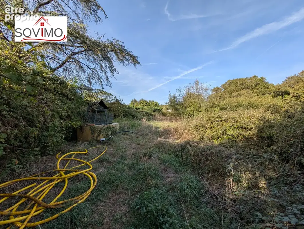 Authentique maison de campagne indépendante avec gîte, piscine et grand terrain en face - photo 33