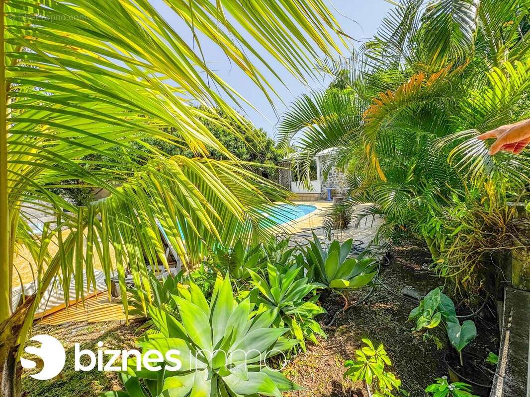 Maison à SAINT-PIERRE