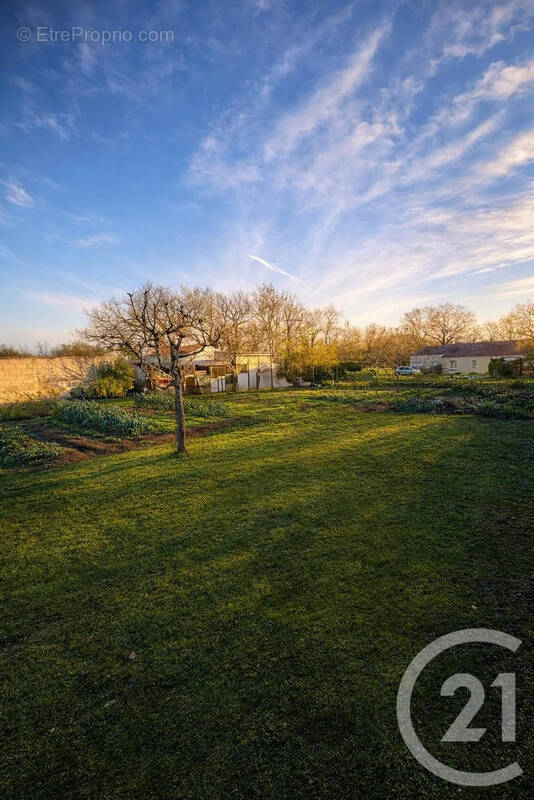 Terrain à TALMONT-SAINT-HILAIRE