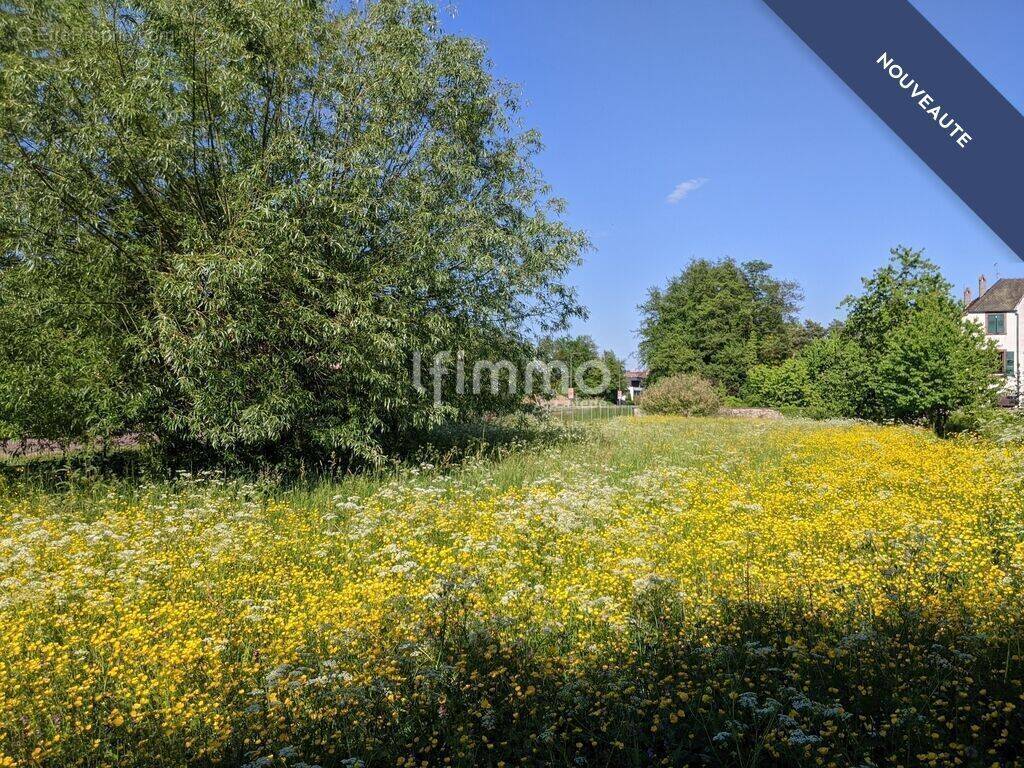 Terrain à WOERTH