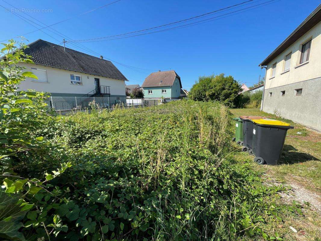 Terrain À Vendre à HERRLISHEIM - photo 4