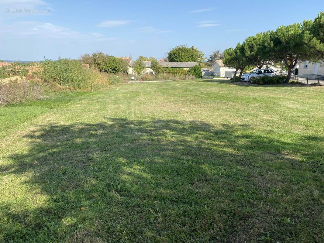 Terrain à SAINT-GERMAIN-DU-PUCH