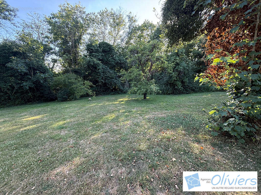 Terrain à CHEVREUSE