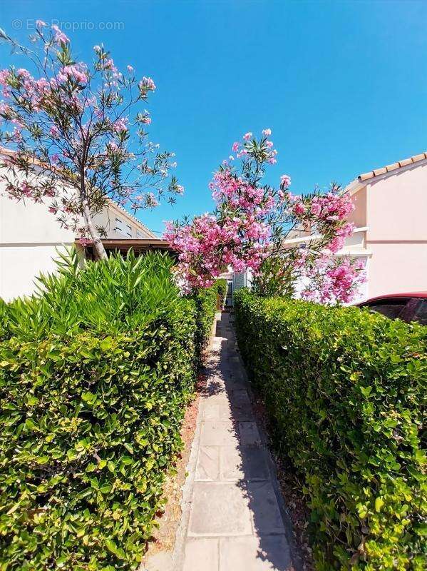 Maison à MARSEILLAN