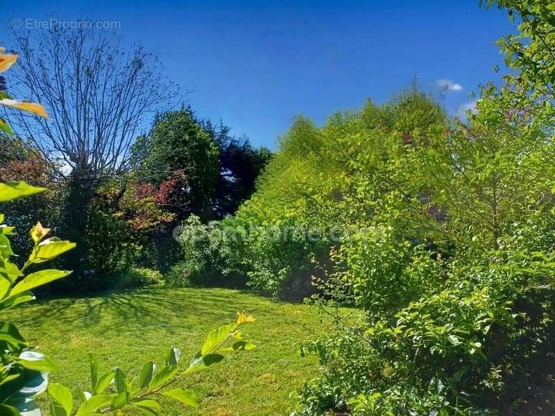 Propriete -  maison bourgeoise d'exception 10 pieces - 220 m2 - terrain 2500 m2 - photo 32