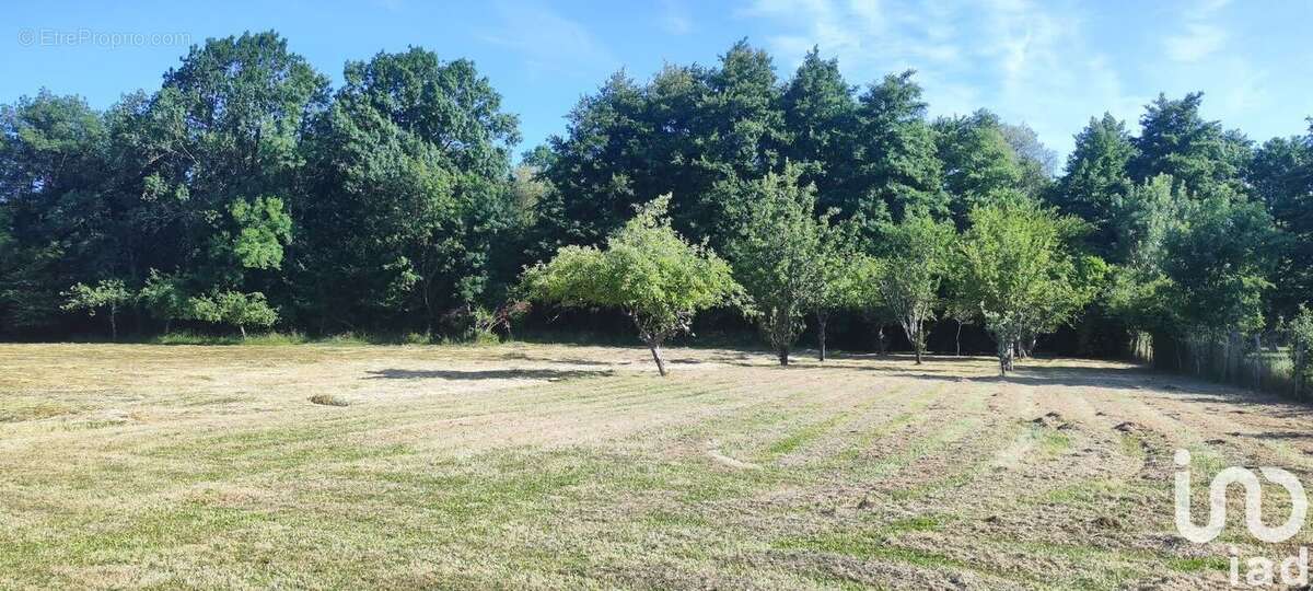 Photo 5 - Maison à VENDOEUVRES