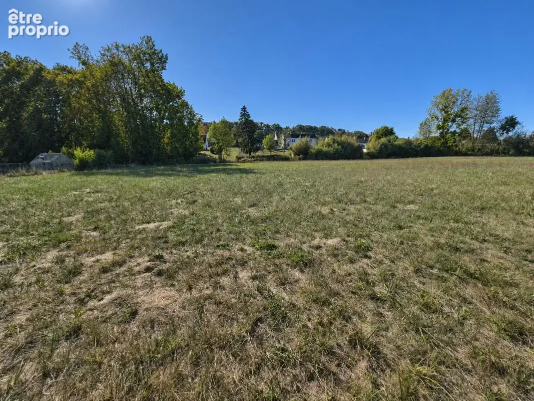 Terrain 1 870 m² à vendre à Chouzy-Sur-Cisse (41150) - photo 3