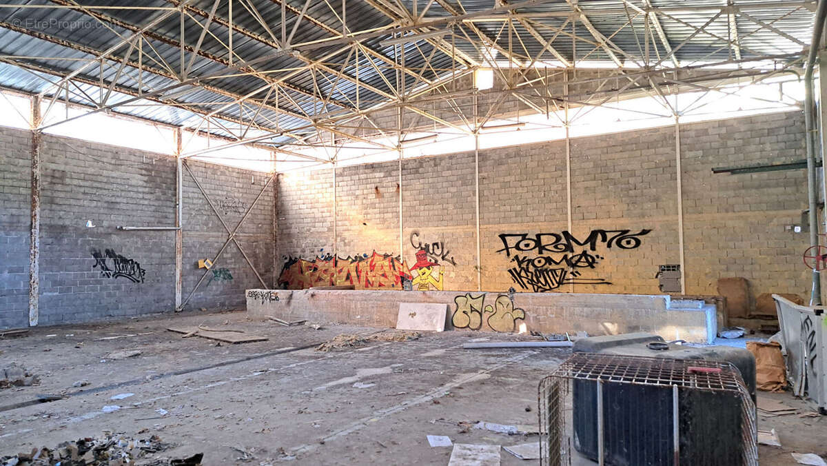 Commerce à MALAUCENE