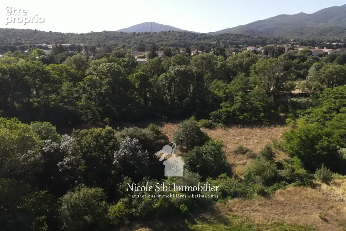 Terrain 12 640 m² à vendre à Rodes (66320) - photo 7