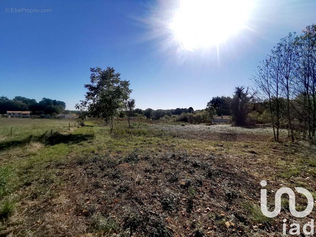 Photo 4 - Terrain à SAINT-MARTIN-D&#039;ARY