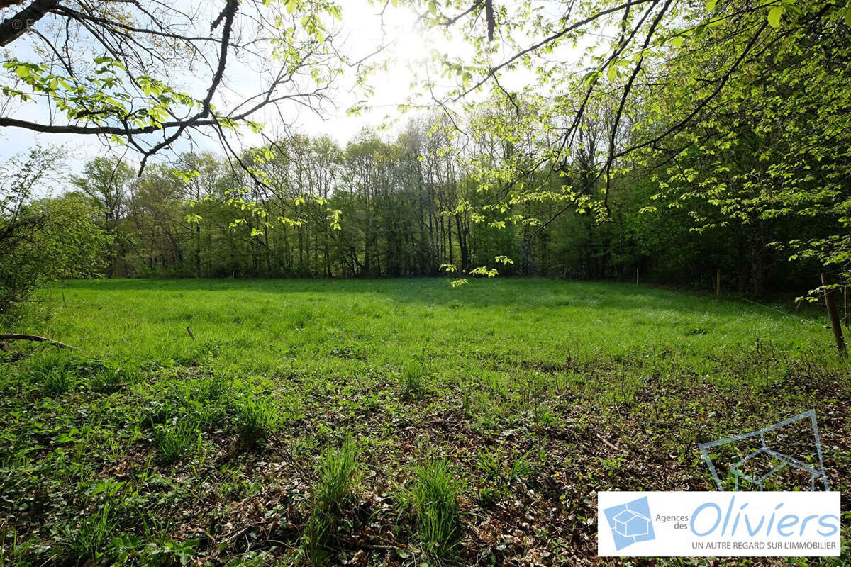Terrain à CHEVREUSE