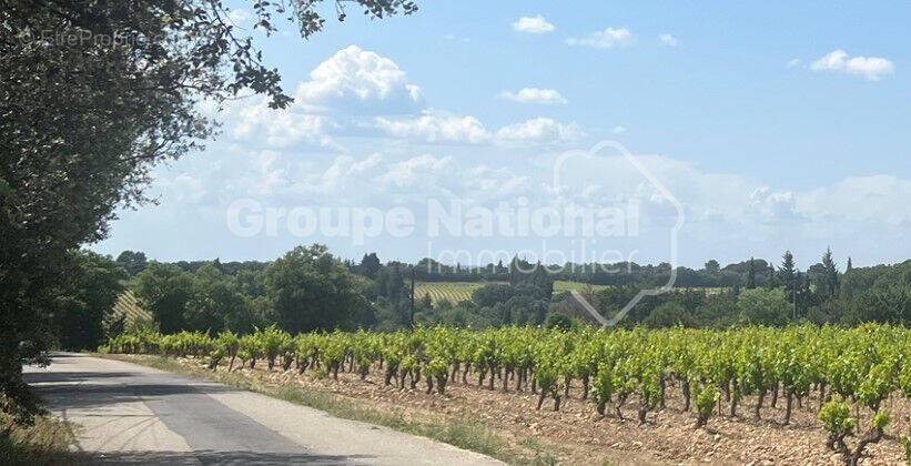Terrain à CHATEAUNEUF-DE-GADAGNE