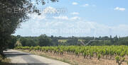 Terrain à CHATEAUNEUF-DE-GADAGNE
