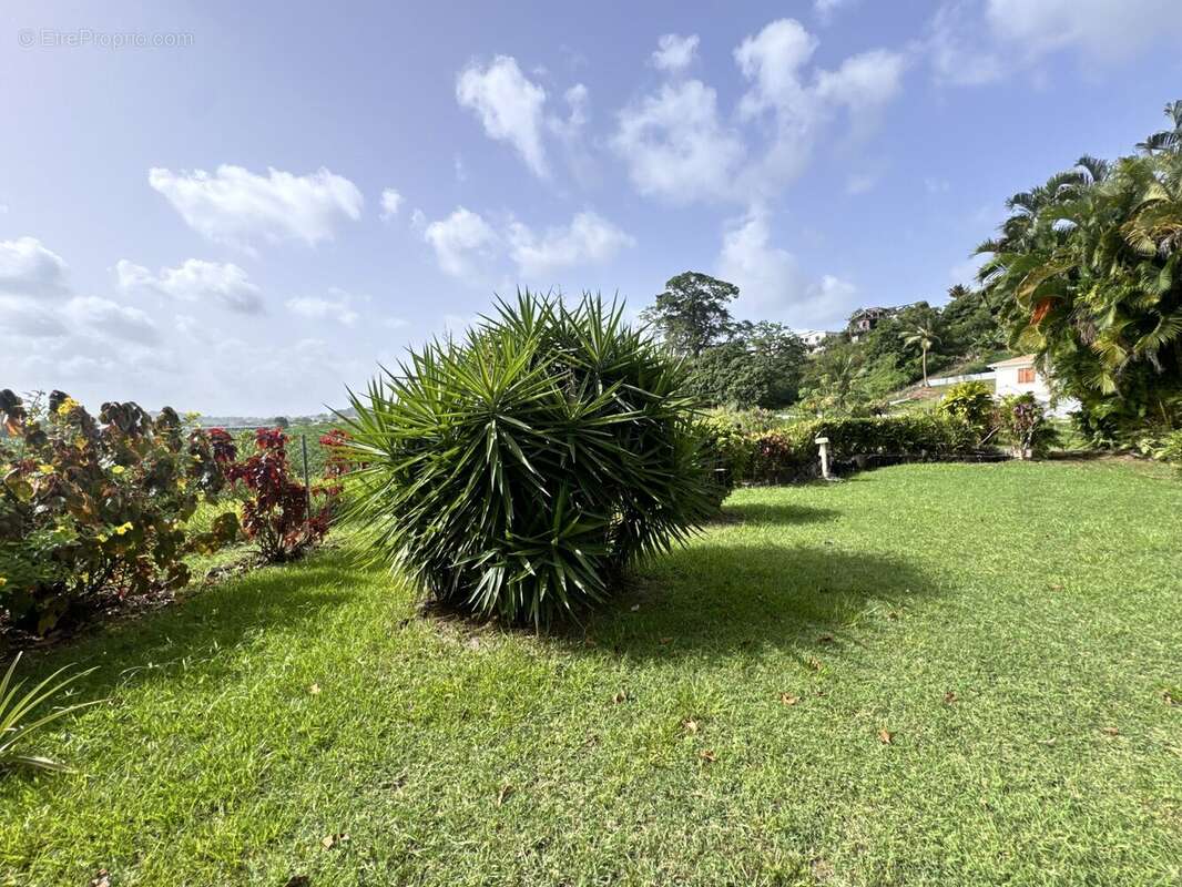 Maison à RIVIERE-SALEE