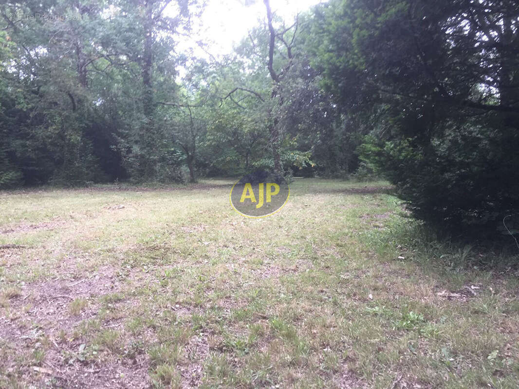 Terrain constructible, SAINT-VIVIEN-DE-MEDOC - photo 4