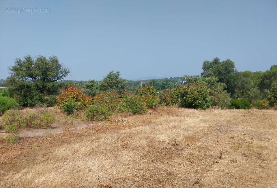 Terrain 514 m² à Frejus  - photo 2