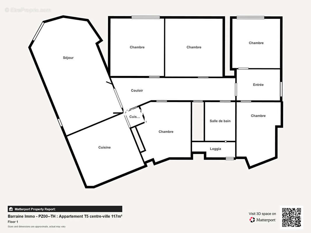 Barraine Immo - A VENDRE - PZ00LM2-TH : Appartement T6 centre-ville de Brest 133m² - photo 16