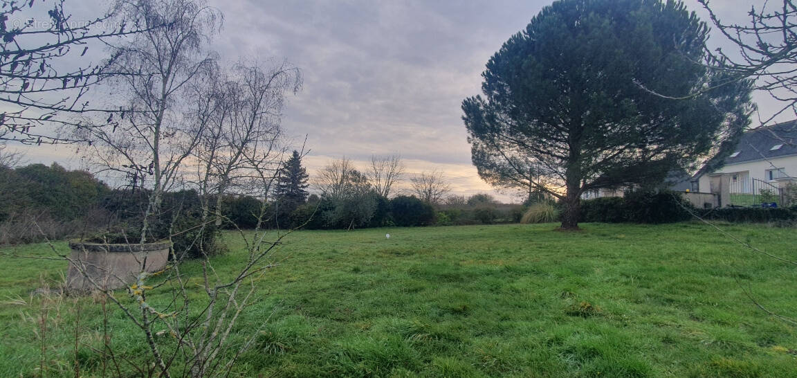 Terrain à ROCHEFORT-SUR-LOIRE