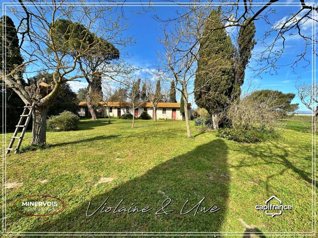 Domaine d'exception du XVIIIᵉ siècle – 625 m² habitables – 3,8 hectares – Un lieu unique au cœur du Lauragais - photo 6