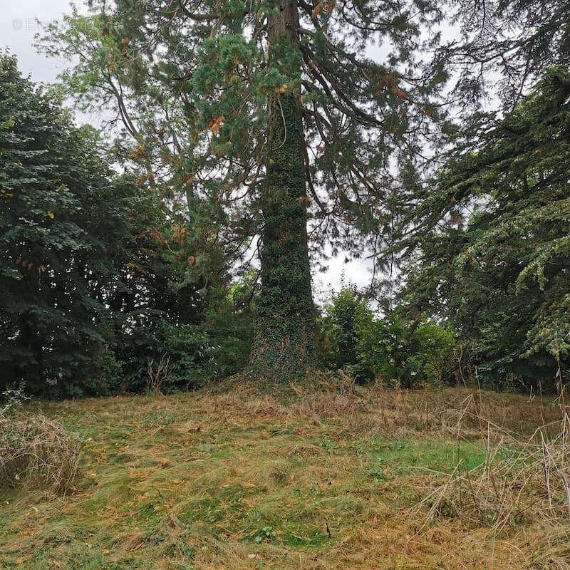 Maison à SAINT-EUSEBE